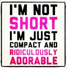 Not Short Short Girl Quotes Funny Quotes Short Humor