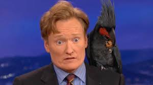 Some are legal, others are only found on the black market. Top 10 Most Expensive Exotic Pets Watchmojo Com