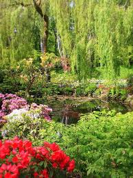 Secret Garden Pond By Carol Groenen Garden Pond Secret Garden My Secret Garden