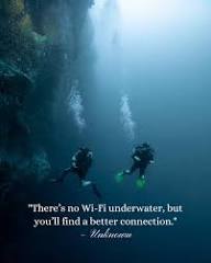 50 beautiful quotes and captions about scuba diving & the oceans
