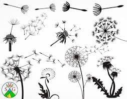 Download Dandelion Clipart Svg File Free Dandelion Svg File Free Transparent Free For Download On Webstockreview 2020 Yellowimages Mockups