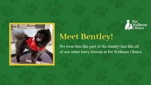 Our affordable pet vaccination clinics offer quality, preventive care to help ensure your pet's health & wellness. Zionsville Pet Wellness Clinic Zionsville In