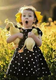 Little Girl Her Baby Ducks Afrikali Cocuklar Hayvanlar Hayvan