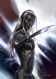 Black And White Warriors Characters Socair White Hair Dark Skin Dark Elf Drow Male