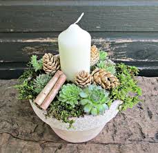 Tannenzapfen Bleichen Basteln Sie Eine Puristische Weihnachtsdeko In Weiss Tannenzapfen Weihnachts Servietten Weihnachtsdeko