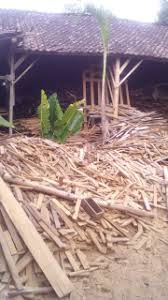 Untuk yang serius hubungi pin bb 2a3a7ac1, kirim foto, jumlah dan harga. Di Jual Limbah Potongan Kayu Jati Full Jati 1000 Bos Kualitas Super Arenatani Digital Indonesia