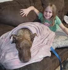 Profile for Humane Society for Inland Mendocino County