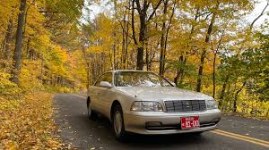 Image result for Autumn Brown 1993 SsangYong