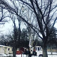 Open today until 5:00 pm. Hummel Tree Service Inc Home Facebook