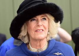 Le prince Charles au Japon : pourquoi Camilla Parker-Bowles ne l'accompagne  pas