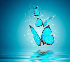 Itl.cat provides hd desktop and mobile wallpapers and backgrounds for free download. Whatsapp Wallpapers Wallpaper Cave