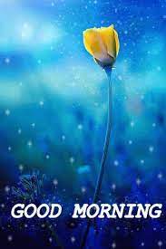 Good morning flowers animated gif. Good Morning Flower Gif Goodmorning Flower Bloom Discover Share Gifs Good Morning Animation Good Morning Greetings Good Morning Gif