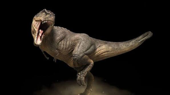 Shouting Dinosaur With Black Background Dinosaur, HD wallpaper | Peakpx