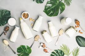Beurre Lait Creme Les Alternatives Vegetales Aux Produits Laitiers