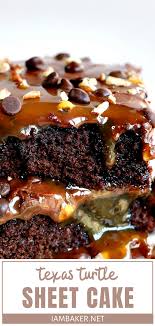 Texas Turtle Sheet Cake Mothers Day Cakes Designs Sheet Cake Dessert Recipes Easy