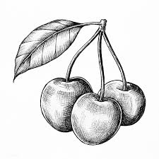 Download Premium Illustration Of Three Hand Drawn Fresh Cherries 1200188 How To Draw Hands Cherry Drawing Pen Art Drawings