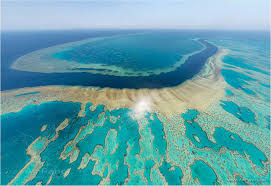 Tourism operators urge australian government to tackle climate change. We Ve Almost Killed The Great Barrier Reef