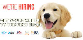 201 mobile dog grooming jobs available on indeed.com. Ilmu Pengetahuan 8 Dog Groomers Near Me Hiring