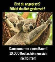 Meine schulbildung war kostenlos, deine umsonst. 480 Lustige Tiere Ideen Lustige Tiere Tiere Lustig