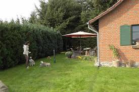 Und deshalb haben wir schicke ferienhäuser in ganz norwegen im angebot. Ferienhaus Mit Hund An Der Muritz Und Der Mecklenburgischen Seenplatte