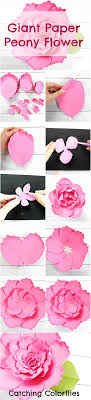 Y'all know i'm obsessed with giant paper flowers. Giant Peony Paper Flower Tutorial Catching Colorflies