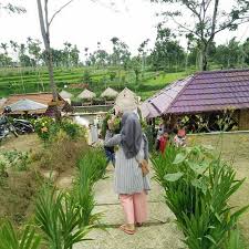 Temukan tempat wisata favorit di jember, jawa timur. 10 Gambar Kampung Wisata Tirta Agung Tiket Masuk Jam Buka Lokasi Travelingan Net