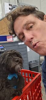 I don't have best friends I have my dogs for my best friends 💓 💕 💛