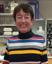 Laura Raymond Art for Sale