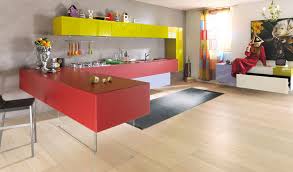 contemporary kitchens with vibrant