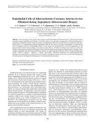Undeniably the best place to go for color of. Pdf Endothelial Cells Of Atherosclerotic Coronary Arteries In Vivo Obtained During Angioplasty Intravascular Biopsy