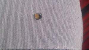 How To Remove Cigarette Burns Or Stains - Detailingwiki, The Free Wiki For  Detailers