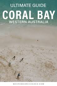 Ultimate Guide To Coral Bay Western Australia In 2020 Western Australia Australia Travel Australia