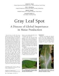 At a glance, it may be indistinguishable from a fungal leaf spot, which has its own range of affected crops but has different treatment methods. Pdf Gray Leaf Spot A Disease Of Global Importance In Maize Production