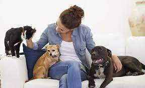 Take melanie and denis for example. What Do I Need To Be A Pet Sitter Uk