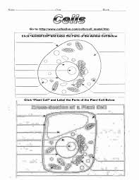 We include fun puzzles along with your standard function sheets. Animal And Plant Cells Worksheet Inspirational 1000 Images About Plant Animal Cells On Pinterest Cells Worksheet Plant And Animal Cells Animal Cells Worksheet