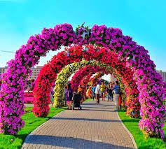 Petunia Flowers Have Been Used To The Maximum Extent At Different Floral Themes Flower Beddings And Sculptures Of Dubai Garden Miracle Garden Unusual Flowers