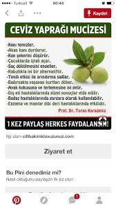 Hanise Kaya Adli Kullanicinin Sofralar Panosundaki Pin Dogal Receteler Saglik Tonik