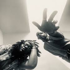 Image result for Melhania randii