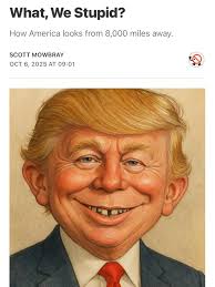 Scott Mowbray (@scottmowb) • Instagram photos and videos