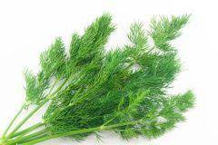 3 kann man genau wissen, ein auto/wie viel/produziert/abgase/in einem jahr 4 keiner kann sagen, beeinflusst/die erderwärmung/wie/die gesundheit/der menschen 5 ich möchte erfahren, den moll/in meiner stadt/trennt/man/ob. Dill Aufbewahren Diese Moglichkeiten Haben Sie