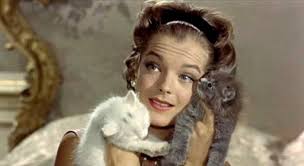 Harvard Film Archive