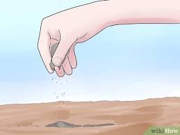 Charcoal ash works so well as a fertilizer because it contains something called potash (potassium carbonate.) this provides your plants with nutrition, as well as increases the ph levels of your soil  2 . How To Use Ashes As Fertilizer 8 Steps With Pictures Wikihow