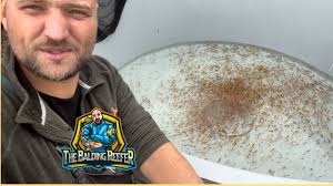 500,000 Koi Fry for Sale!