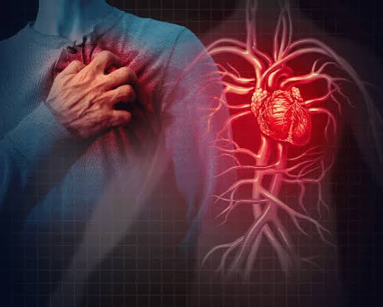Cardiovascular