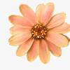 Use them in commercial designs under lifetime, perpetual & worldwide rights. 1