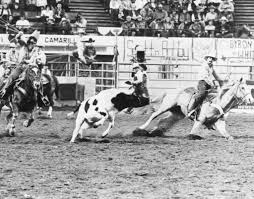 Image result for Copper 1983 Roper