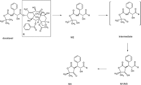 Image result for Docetaxel