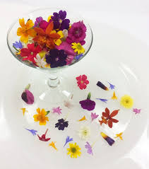 Check spelling or type a new query. Edible Flowers Micro Premium Flowers Blend Etsy