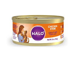 Choosing the best wet cat food can take some time and research due to the wide variety of brands and recipes available. The Best Cat Food For Indoor Cats Review In 2020 Pet Side