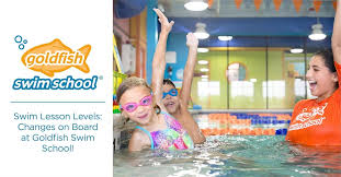 Swim Lesson Levels Changes On Board At Goldfish Swim School